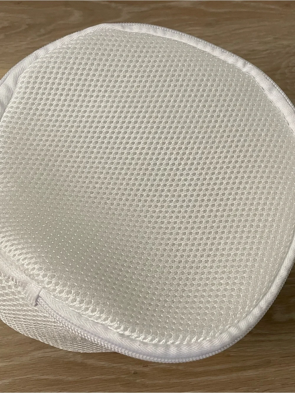 The Container Store Mesh Laundry Bra Bag
